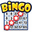 Bingo game icon